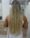 Cabelo Orgânico à Venda em Cuiabá – Dom Aquino