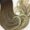 Cabelo Orgânico à Venda em Cuiabá – Dom Aquino